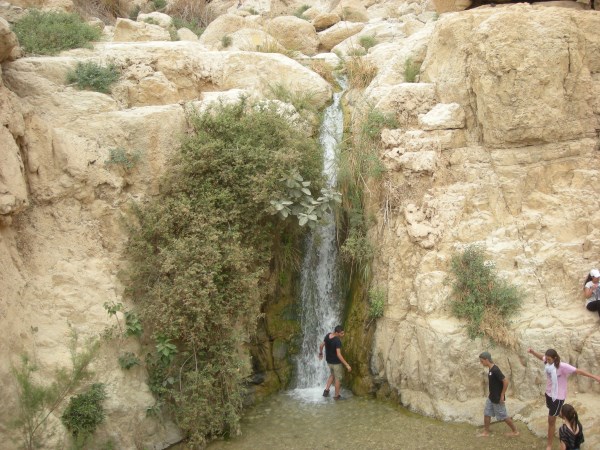 Visit En Gedi | Holy Land Tours | Visit Israel | Tour the Holy Land