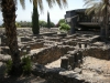 Capernaum - Holyland Tours
