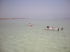 Dead Sea - Holy Land Tour