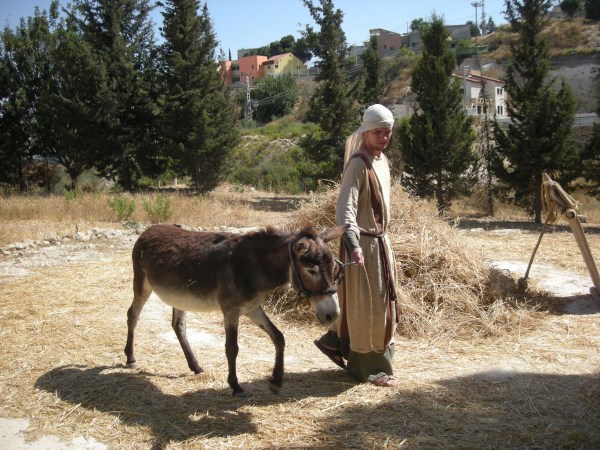 Nazareth & the Nazareth Village - Holy Land Tours