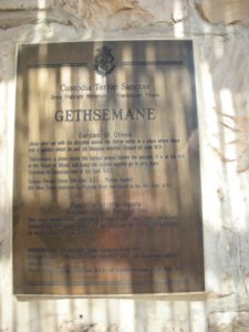 Visit the Garden of Gethsemane - Holy Land Tours