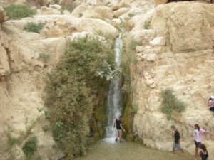 Visit En Gedi - Holy Land Tours