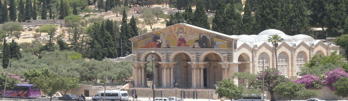 Visit The Garden Of Gethsemane Holy Land Tour Tour Of The Holy