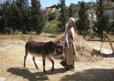 Nazareth - Elbow Holy Land Tours - Christian Tours of Israel & the Holy Land