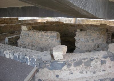 Visit Capernaum - Elbow Holy Land Tours - Christian Tours of Israel & the Holy Land