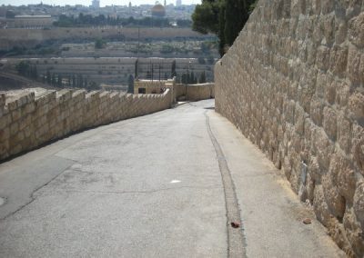 Mount of Olives - Elbow Holy Land Tours - Christian Tours of Israel & the Holy Land